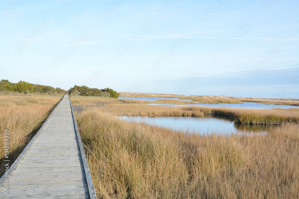 A long board walk near the shore in North Carolina