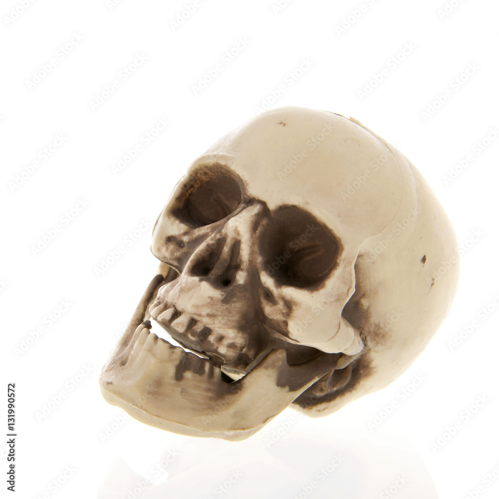Fototapeta premium Human skull isolated over white background