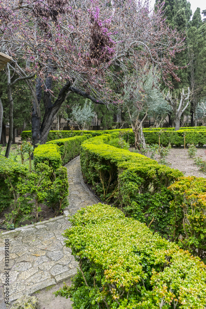 Labyrinth of green shrubs in the city of Valldemossa in the Bale