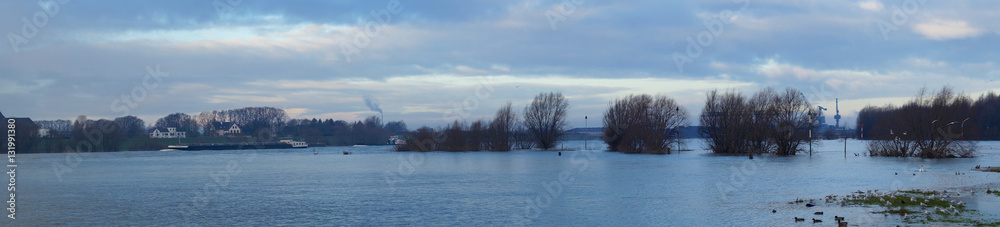 Hochwasser Rhein bei Rees
