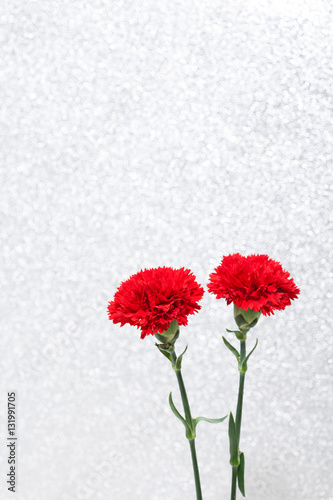 Bouquet of red carnations on a white 