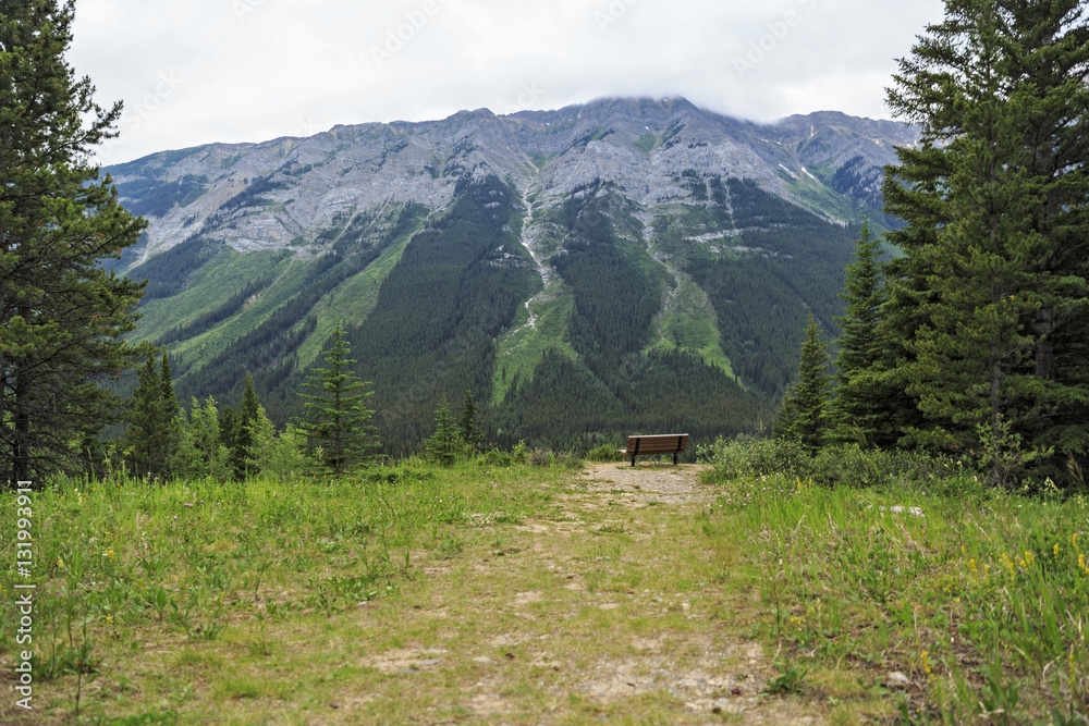 Bench with a perfect view of the mountains, Kananaskis, Alberta, Canada
