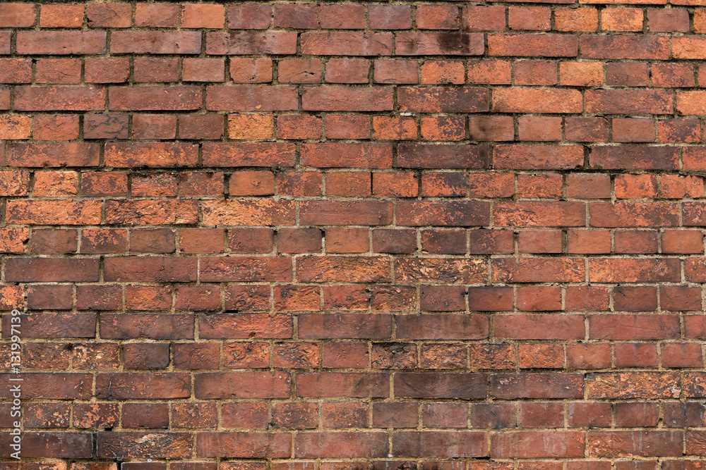 Fototapeta premium Red brick wall