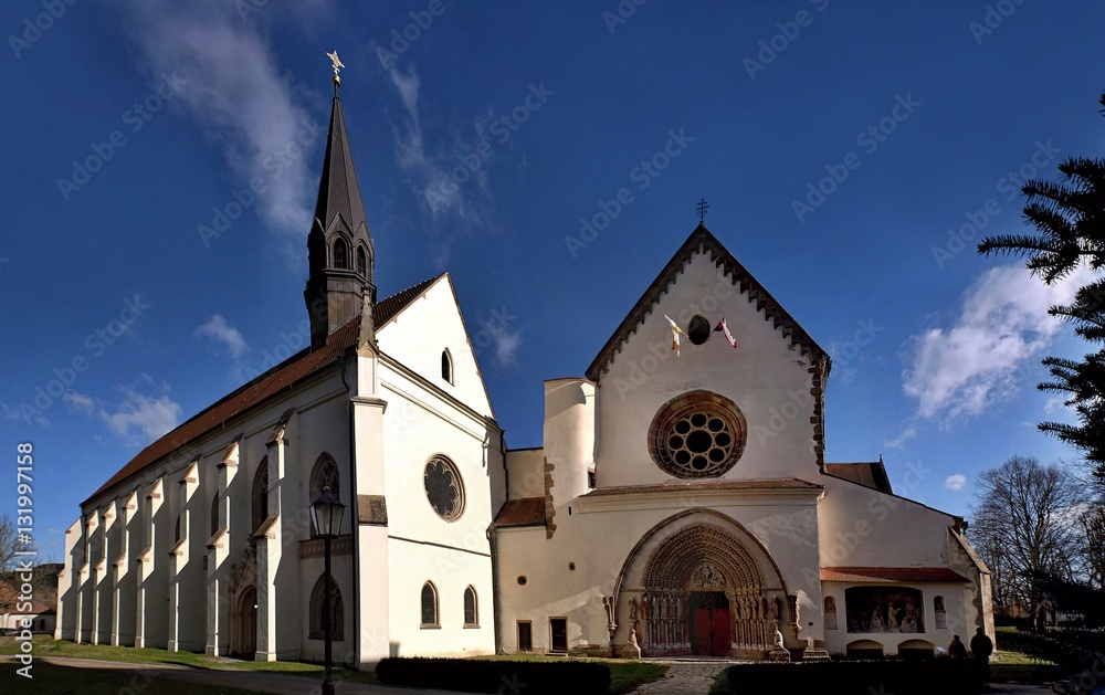 Fototapeta premium panoramic shot on the western side ofmonastery Porta Coeli