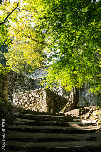 Bitchu Matsuyama Castle Walls photo