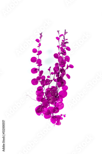 abstract ivy leaves  purple isolated on a white background