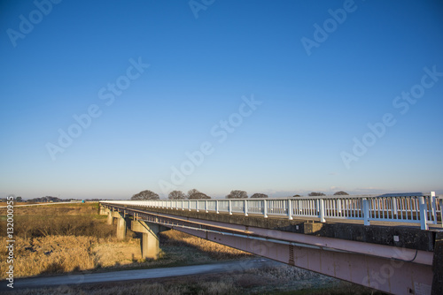 江戸川上流の橋