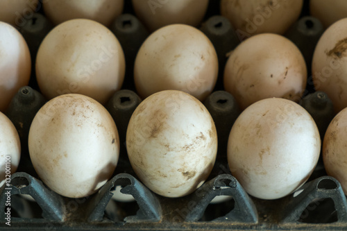 Close up duck eggs in tray.