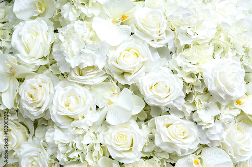 Fototapeta Naklejka Na Ścianę i Meble -  white roses background