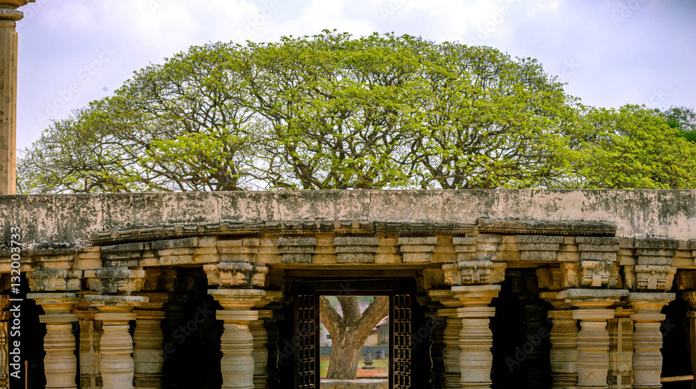Obraz premium Somanatha pur temple, India