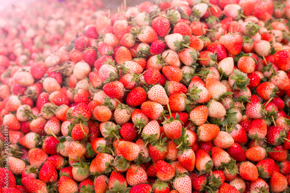 Close up of fresh strawberry in the north of Thailand Close up of fresh strawberry in the north of Thailand