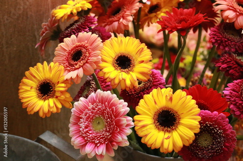 beautiful pink and yellow Gerbera Daisies - bright and cheerful