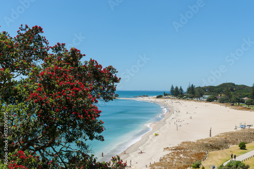 Ocean beach view over and framed by pohutukawa trees from slope photo