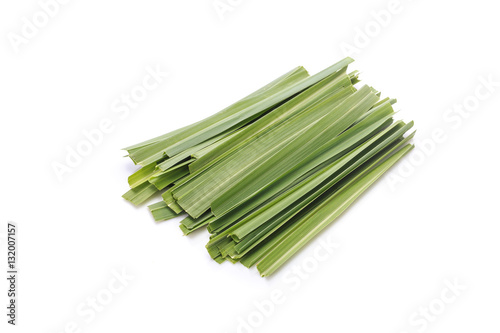 Green Lemongrass or citronella grass leaf. Studio shot isolated photo