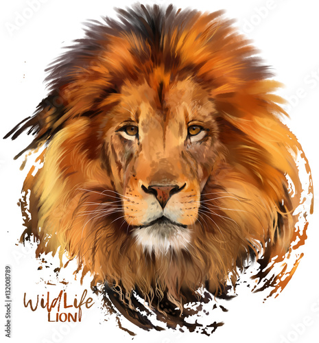 Lion watercolor illustration