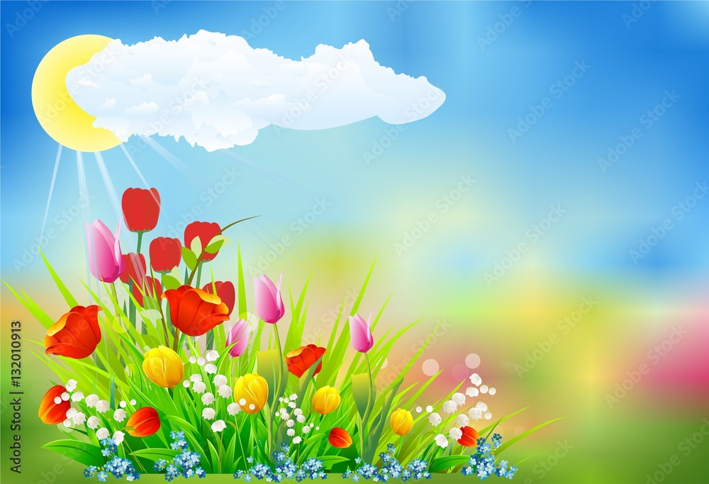 wiosenna dekoracja z tulipanami - obrazy, fototapety, plakaty 
