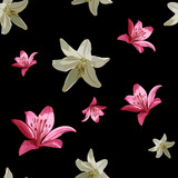 pink and white lily on black background. vector seamless pattern