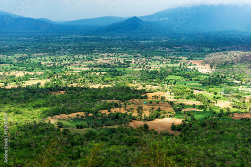 Decimated deforestation plain among the mountain