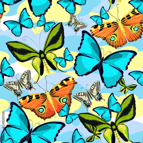 seamless pattern Ornithoptera paradisea, butterfly wings of a bi photo