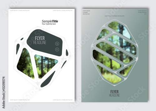 Flyer layout template. Vector brochure background with elements for magazine, cover, poster, layout design. A4 size.