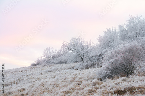 sunset in winter snow countryside © santiago silver