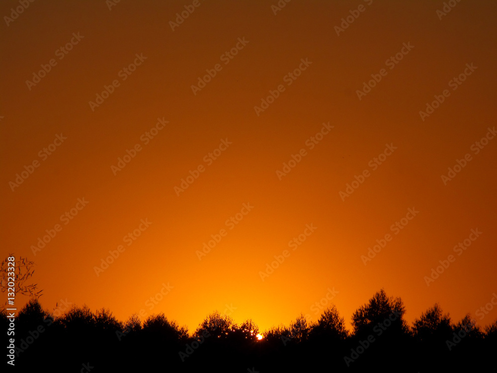 Fototapeta premium Stunning golden gradation of sunset sky over the silhouette of countryside forest in Thailand