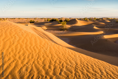 Sunrise at the dunes at Mhamid  Morocco