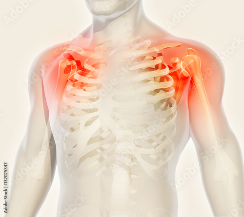 Shoulder painful skeleton x-ray, 3D illustration.