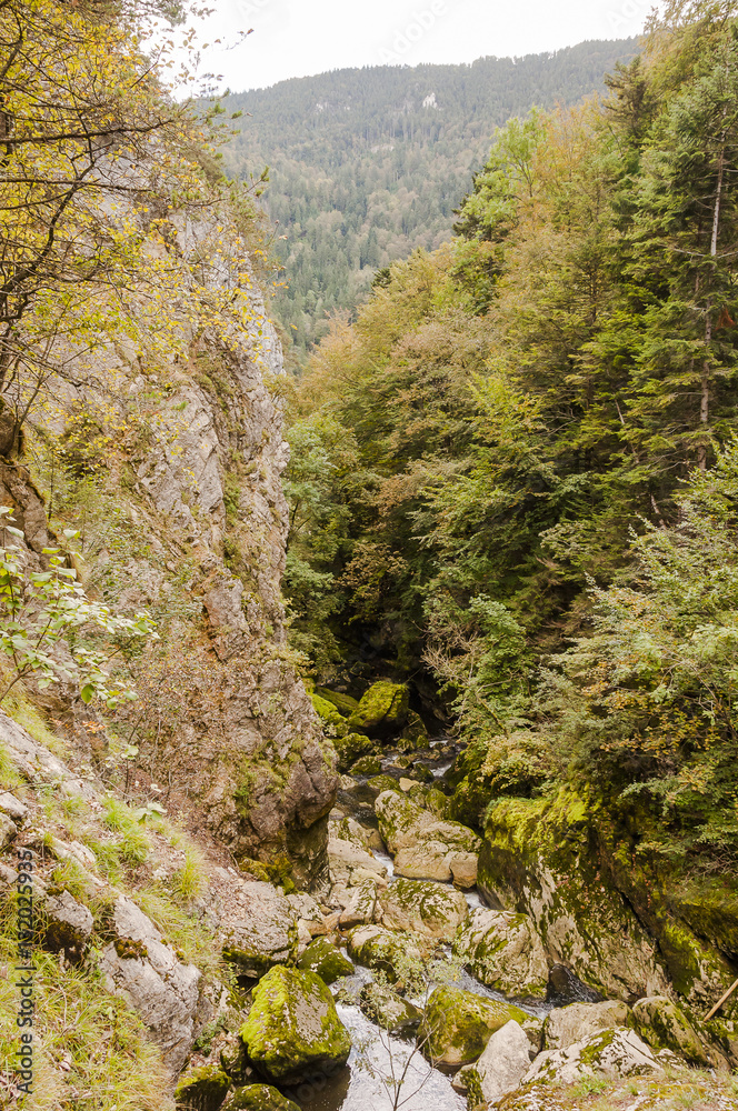 Noiraigue, Val de Travers, Jura, Areuseschlucht, Schlucht, Areuse, Fluss, Wald, Herbst, Wanderweg, Herbstwanderung, Schweiz Noiraigue, Val de Travers, Jura, Areuseschlucht, Schlucht, Areuse, Fluss, Wald, Herbst, Wanderweg, Herbstwanderung, Schweiz
