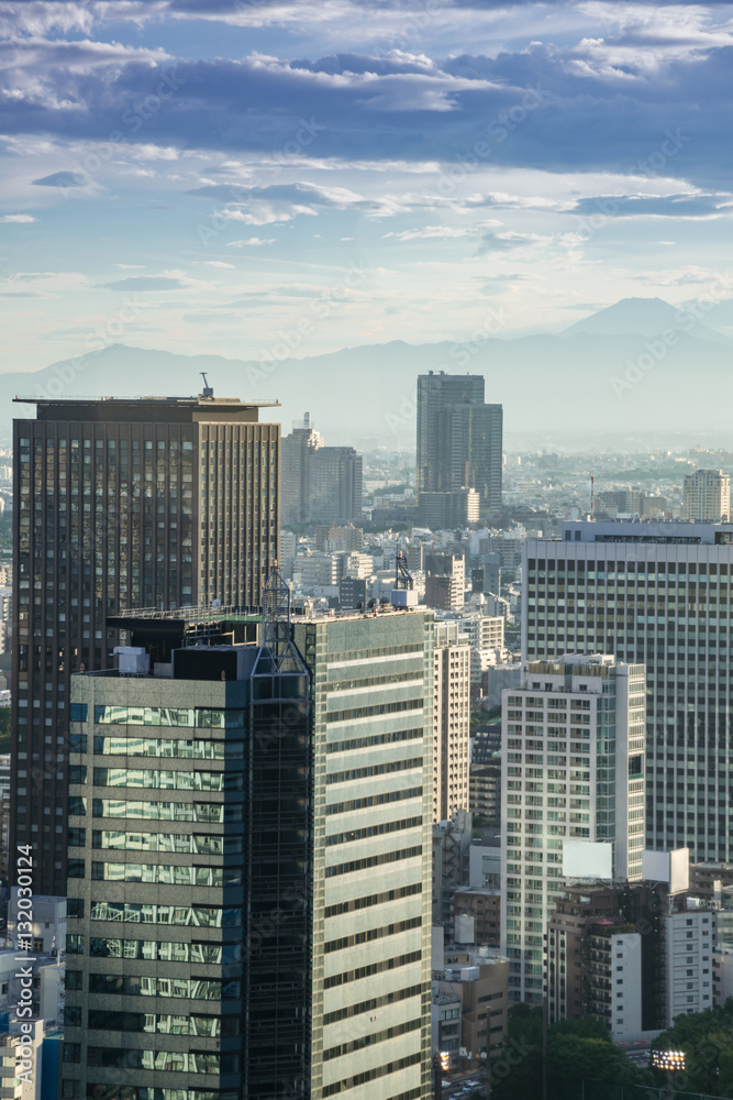 Obraz premium Cityscapes of tokyo in Fog winter, Skyline of Tokyo, office buil
