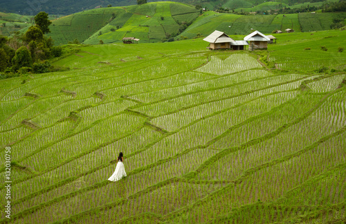 Bride with white wedding dress in paddy field in Chiang Mai, Thailand © Cyrsiam
