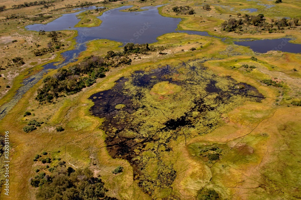 Luftaufnahme vom Okavango Delta in Botswana