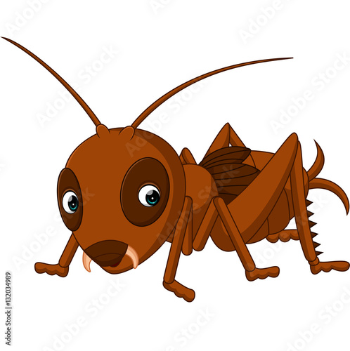 Cute cricket cartoon 

