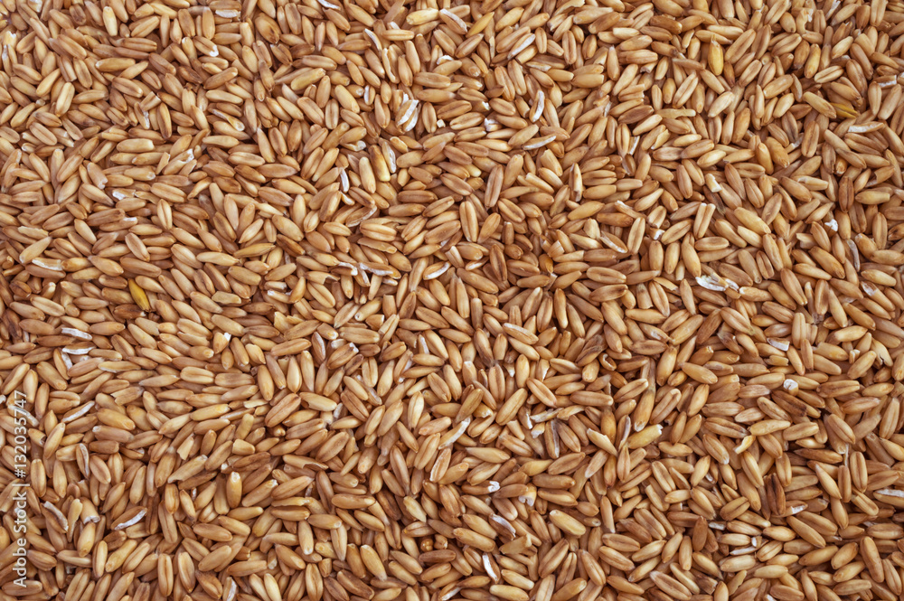 Natural dry oat grains background Natural dry oat grains background