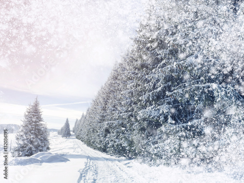 fantastic winter wonderland background © 2207918