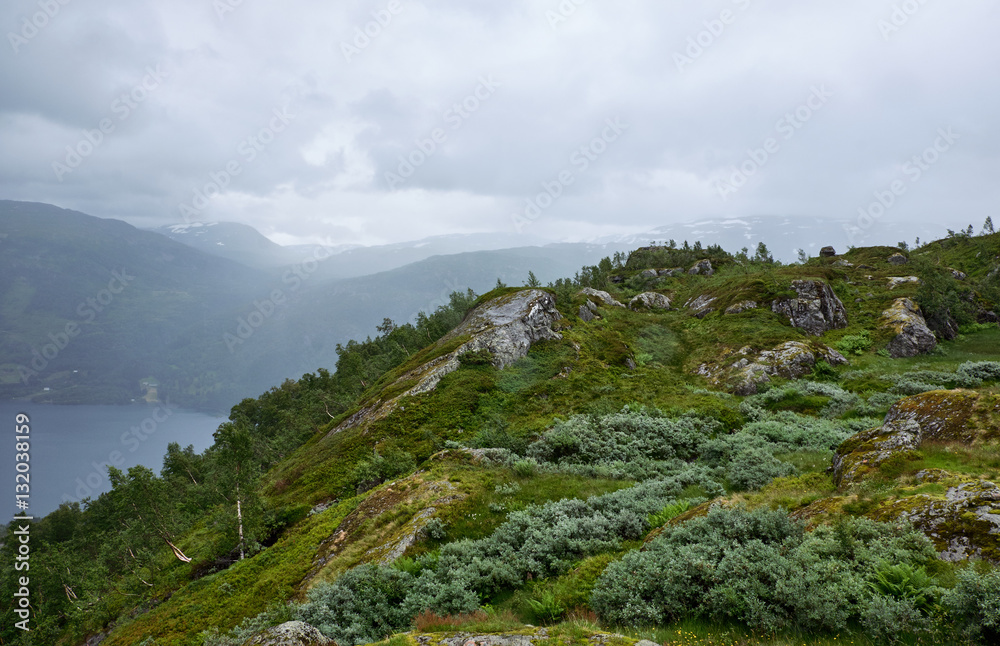 Fototapeta premium View over the luxuriant green covered mountainsides above Roeldslavatnet in Hardanger in Norway