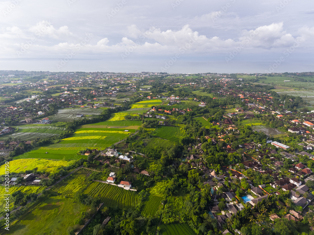 Aerial view of tropical trees and buildings in Bali, Indonesia