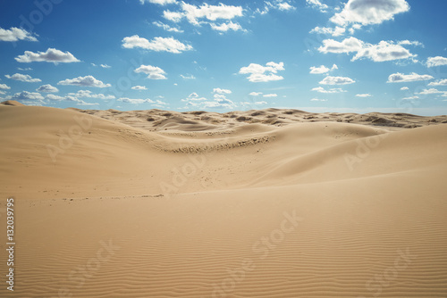 Fototapeta Naklejka Na Ścianę i Meble -  The desert at noon