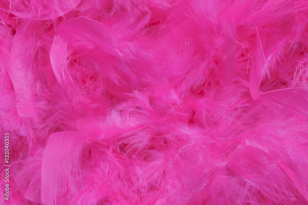 Pink feather background