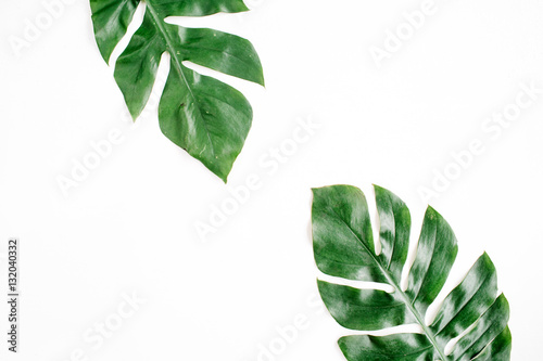 Tropical palm leaves. Flat lay, top view