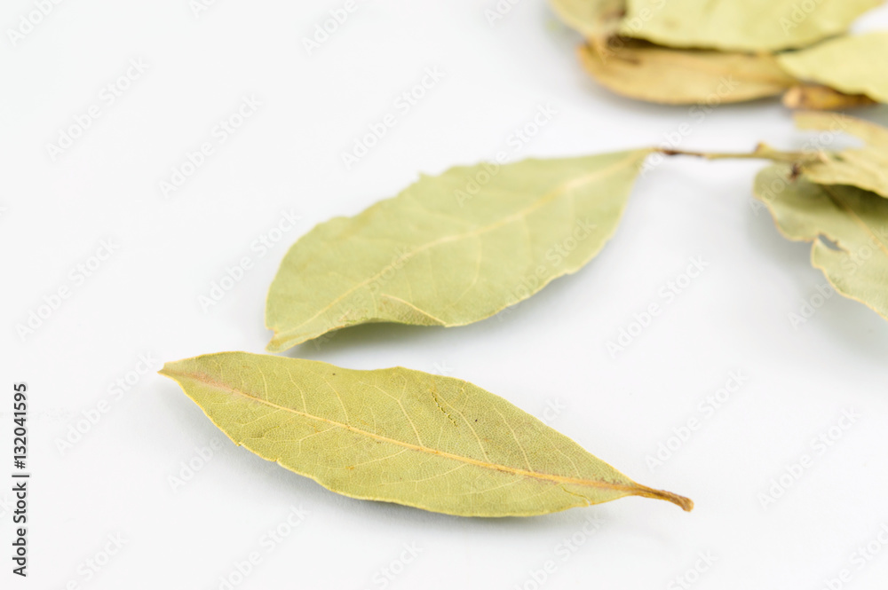 bay leaves on white wooden table