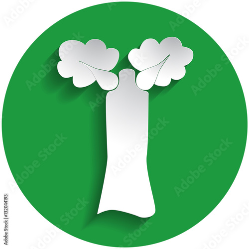 Baobab icon in paper style