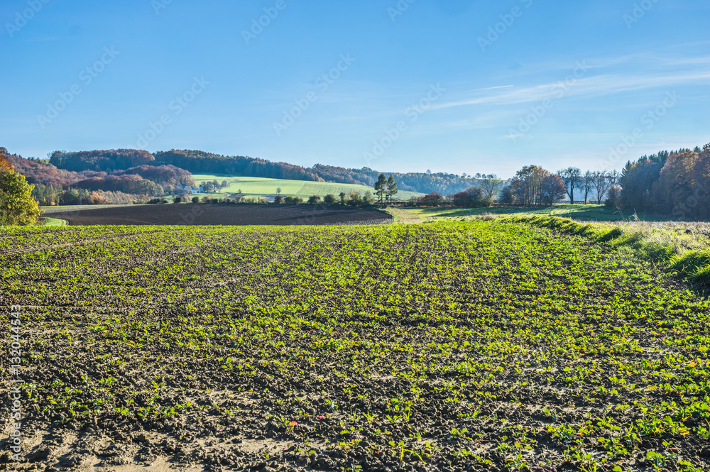 Grub im Herbst Grub im Herbst