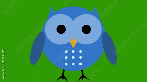 Comic cartoon cute owl animation green screen cut out loop blue