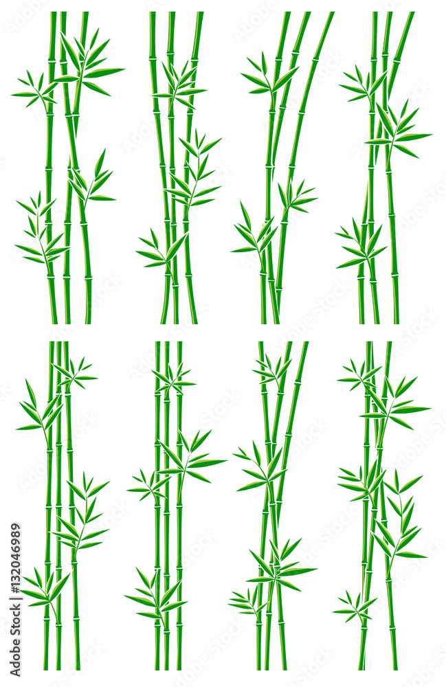 Obraz premium Bamboo collection set. Vector
