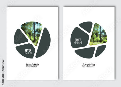 Flyer layout template. Vector brochure background with elements for magazine, cover, poster, layout design. A4 size.