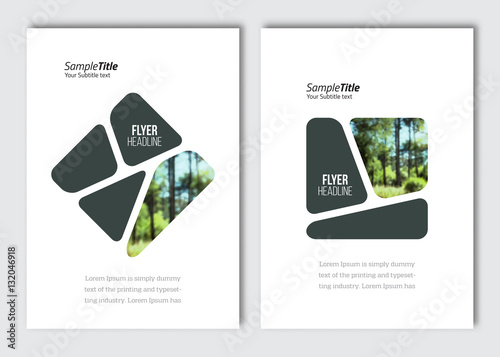 Flyer layout template. Vector brochure background with elements for magazine, cover, poster, layout design. A4 size.