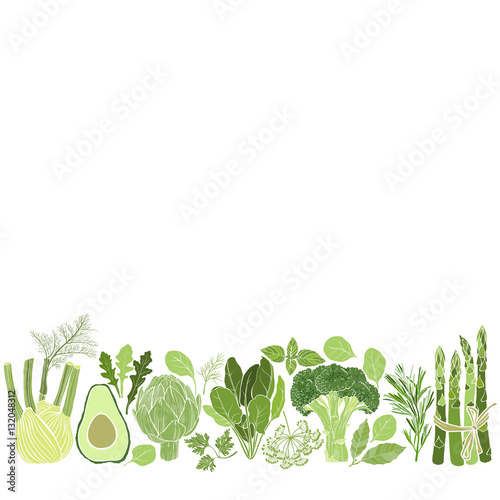 Vector background with vegetables, spices and herbs.  Illustration with place for text,  can be used  creating card, menu or invitation card.