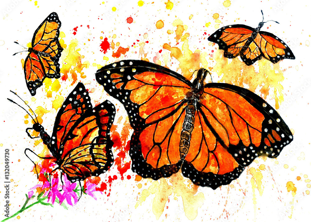 Monarch Butterfly Art