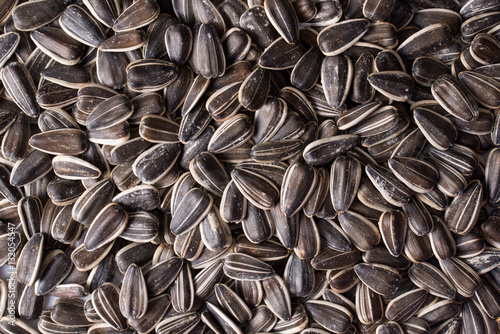 Fotografie Background of sunflower seeds. Top view